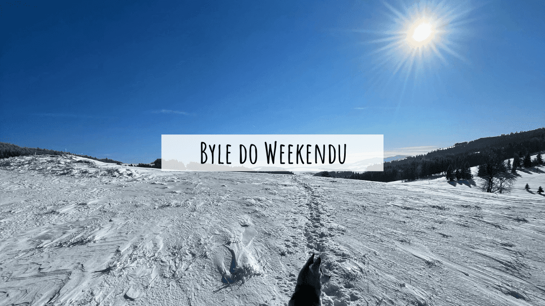 STYCZEŃ 2022 – Byle do weekendu